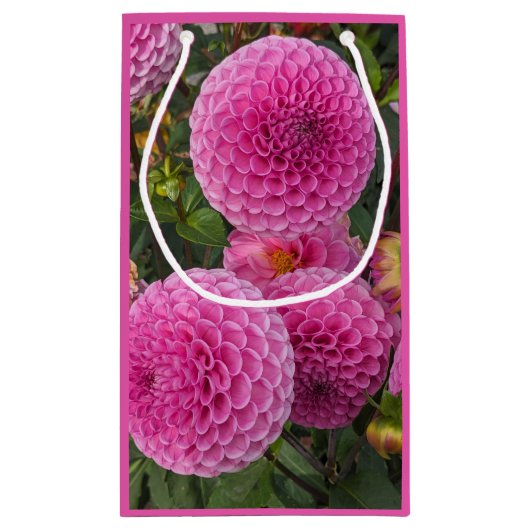 Roze bal Dahlias Floral Klein Cadeauzakje (Achterkant)