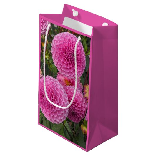Roze bal Dahlias Floral Klein Cadeauzakje (Voorkant Gekanteld)