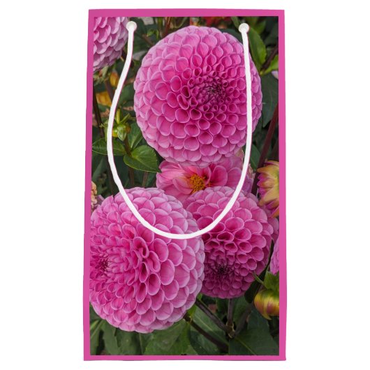 Roze bal Dahlias Floral Klein Cadeauzakje (Voorkant)