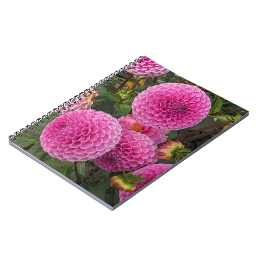 Roze bal Dahlias Floral Notitieboek (Linkerzijde)