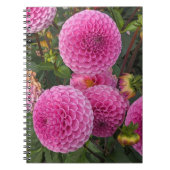 Roze bal Dahlias Floral Notitieboek (Voorkant)