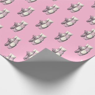 Roze Ballerina Schoenen En Pointe FL CC Roze BG Cadeaupapier