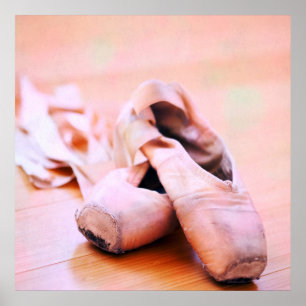 Roze ballet Slipper Pointe Shoes Dance Sjabloon Poster