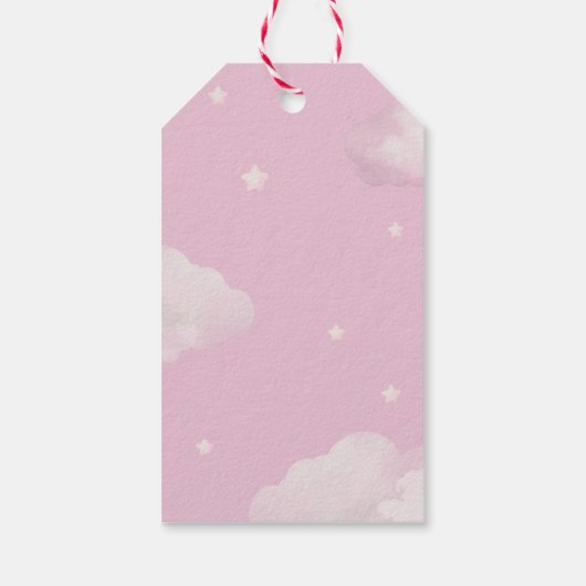 Roze ballonnen Baby Teddy Bear Shower Dank je wel Cadeaulabel (Achterkant)