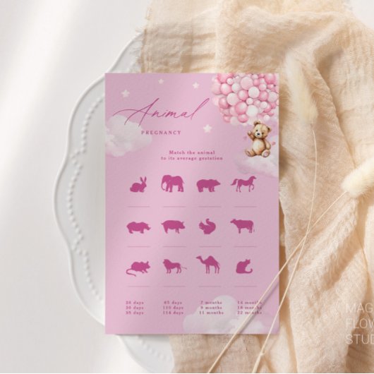 Roze Ballons Teddy Bear Dier Zwangerschap Spel