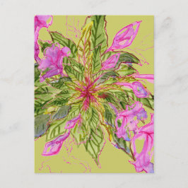 Roze Balsam Flowers Bouquet op Green Briefkaart