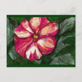 Roze balsem-ventilator briefkaart (Voorkant)