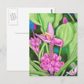 Roze Bananas Briefkaart (Voorkant / Achterkant)