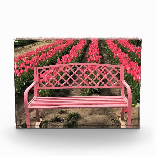 Roze bank met roze tulpen fotoblokken (Voorkant)