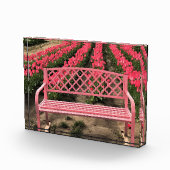 Roze bank met roze tulpen fotoblokken (Rechts)