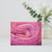 Roze Basilisk Rattlesnake Briefkaart (Staand voorkant)