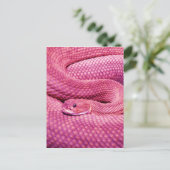 Roze Basilisk Rattlesnake Briefkaart (Staand voorkant)