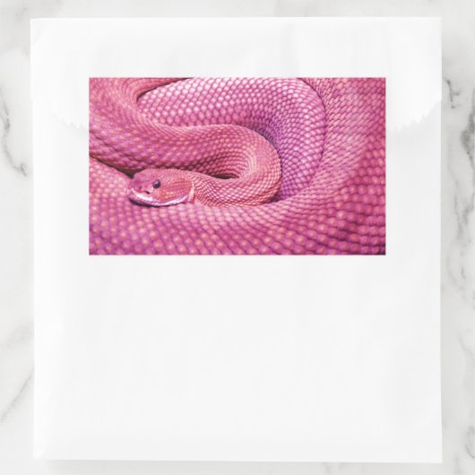 Roze Basilisk Rattlesnake Rechthoekige Sticker (Tas)