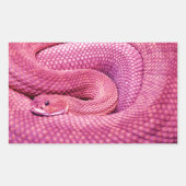 Roze Basilisk Rattlesnake Rechthoekige Sticker (Voorkant)