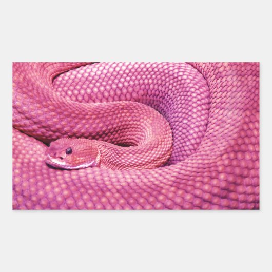 Roze Basilisk Rattlesnake Rechthoekige Sticker (Voorkant)