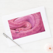 Roze Basilisk Rattlesnake Rechthoekige Sticker (Envelop)