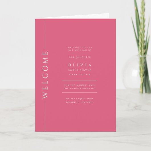 Roze Bat Mitzvah Gevouwen Programmaboekje Programma (Voorkant)