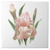  Roze Bearded Iris Bloem Botanische Kunst Tegeltje (Voorkant)