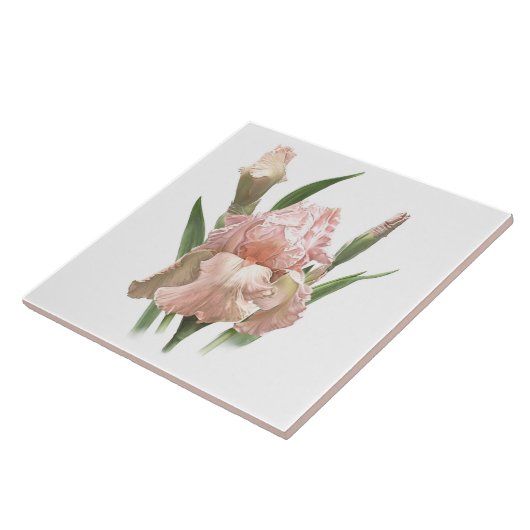  Roze Bearded Iris Bloem Botanische Kunst Tegeltje (Zijkant)