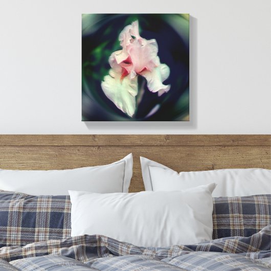 Roze Bearded Iris Bloem Kunst Canvas Afdruk (Insitu (Slaapkamer))