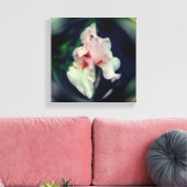 Roze Bearded Iris Bloem Kunst Canvas Afdruk (Insitu (Woonkamer))