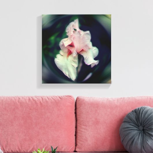 Roze Bearded Iris Bloem Kunst Canvas Afdruk (Insitu (Woonkamer))