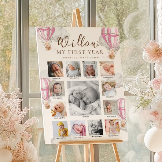 Roze Beary Eerste Verjaardag Foto Tijdlijn Poster