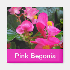  roze bedelonia bloemen magneet