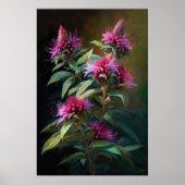 Roze Bee Balm Bloem Art Print Poster (Voorkant)
