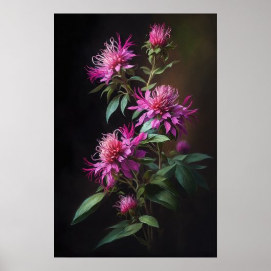 Roze Bee Balm Bloem Art Print Poster (Voorkant)