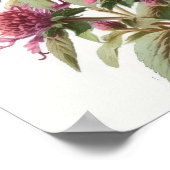 Roze Bee Balm Bloem Art Print Poster (Hoek)