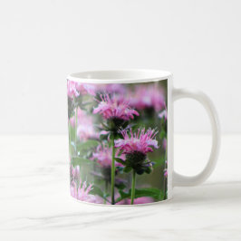 Roze Bee Balm, Monarda Koffiemok