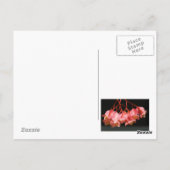 Roze Begonia Angel Wing Flowers Briefkaart (Achterkant)