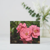 Roze Begonia bloemen Briefkaart (Staand voorkant)