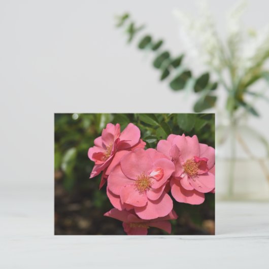 Roze Begonia bloemen Briefkaart (Staand voorkant)
