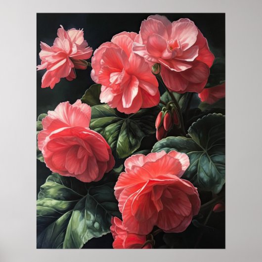 Roze Begonia Flowers Art Print Poster (Voorkant)