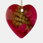 Roze Begonia Stamen Macro Ornament (Rechts)