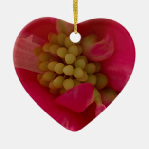 Roze Begonia Stamen Macro Ornament