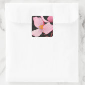 Roze Begonia Sticker (Tas)