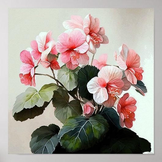 Roze Begonias Bloemenkunst Print Poster (Voorkant)