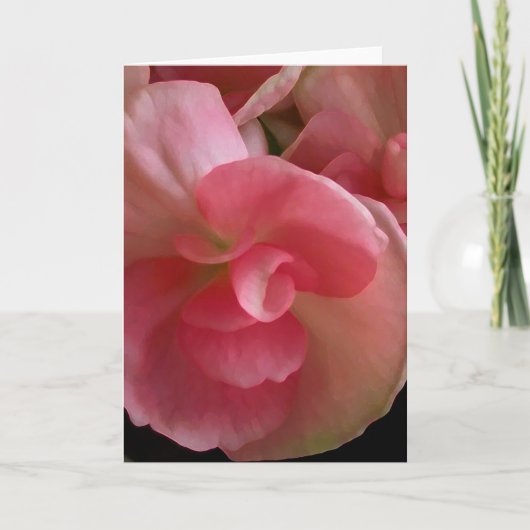 Roze Begonias, digitaal Wenskaart voor het schilde Kaart (Voorkant)