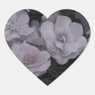 Roze Begonias op bank Hart Sticker