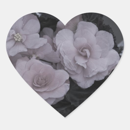 Roze Begonias op bank Hart Sticker (Voorkant)