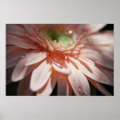 Roze bellen poster (Voorkant)