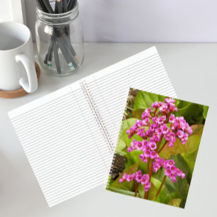 Roze Bergenia Bloemen Bloemrijk Notitieboek