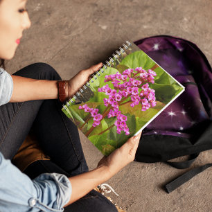 Roze Bergenia Flowers Floral Notitieboek