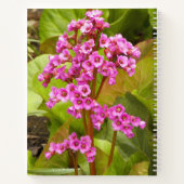 Roze Bergenia Flowers Floral Notitieboek (Achterkant)