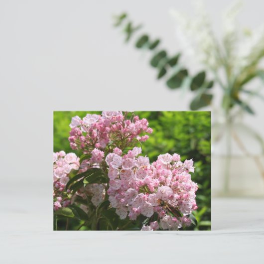 roze bergLaurel Flowers Briefkaart (Staand voorkant)