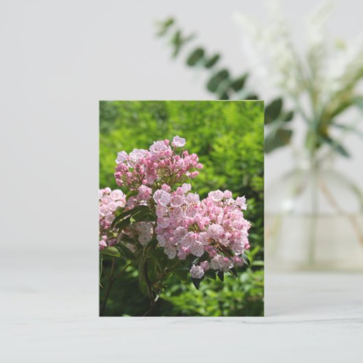  roze bergLaurel Flowers Briefkaart (Staand voorkant)
