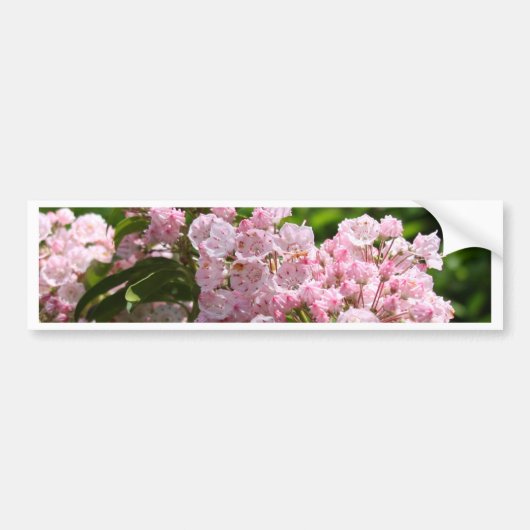  roze bergLaurel Flowers Bumpersticker (Voorkant)